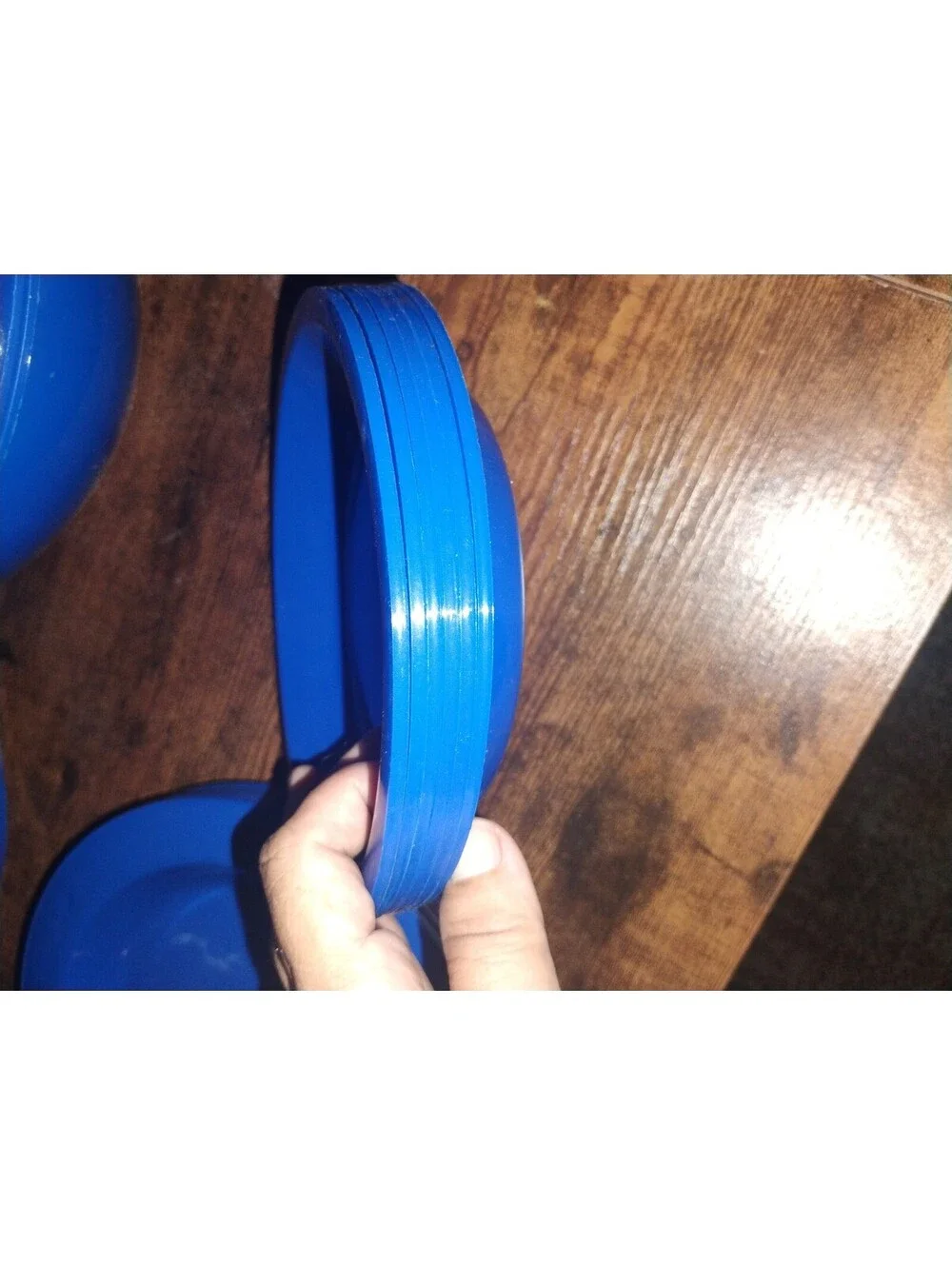 Vintage Blue Plastic Picnic Dinnerware Set with Carrying Case